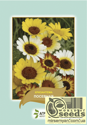 Насіння хризантеми посівної, суміш 0,5 г Насіння хризантеми посівної, суміш 0,5 г