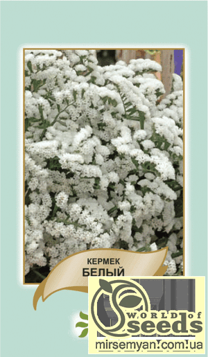 Насіння кермеку виїмчасте, біле 0,2 г А Насіння кермеку виїмчасте, біле 0,2 г А