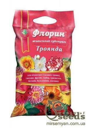 Субстрат Субстрат