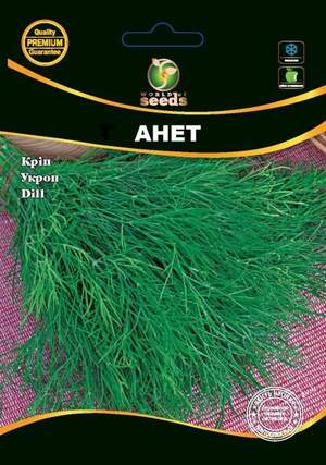 Насіння кропу 