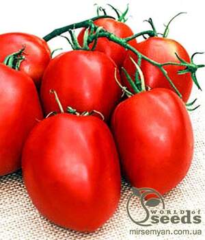 Томат «Які» F1 1000 насінин, Семініс, (Seminis)