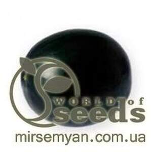 Кавун середньоранній 