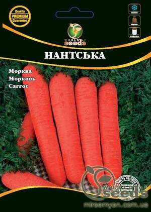 Морква Морква