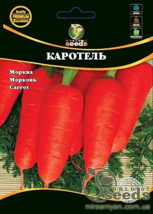 Морква Морква