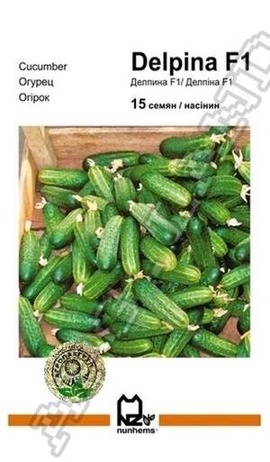 Огірок Делпіна F1 - 15 насінин А (Nunhems)