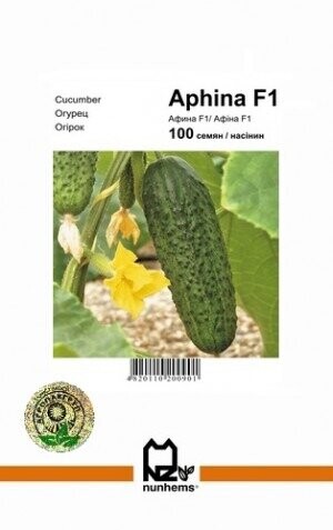 Огірок Афіна F1 - 100 насінин А (Nunhems)