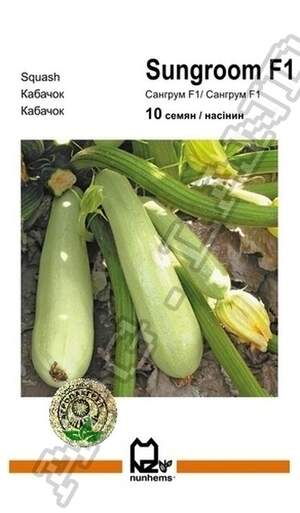 Кабачок Сангрум F1 - 10 насінин А (Nunhems) Кабачок Сангрум F1 - 10 насінин А (Nunhems)