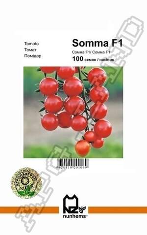 Томат Сомма F1 - 100 насінин А (Nunhems) Томат Сомма F1 - 100 насінин А (Nunhems)