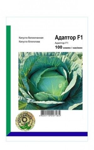 Капуста білокачанна Адаптор F1 - 100 насінин А (Syngenta) Капуста білокачанна Адаптор F1 - 100 насінин А (Syngenta)