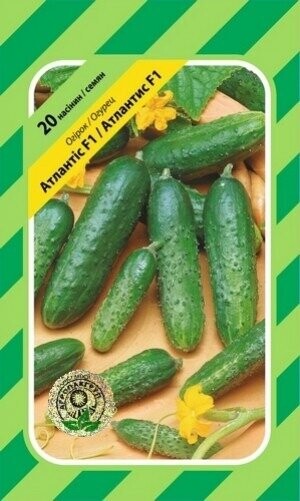 Огірок Атлантіс F1 - 20 насінин А (Bejo Zaden) Огірок Атлантіс F1 - 20 насінин А (Bejo Zaden)