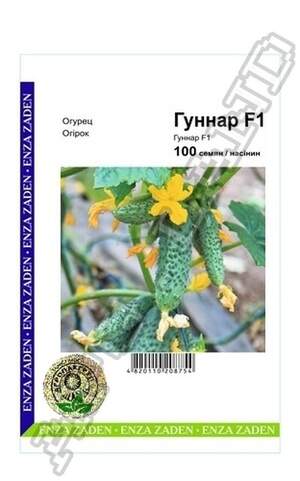 Огірок Гуннар F1 - 100 насінин А (Enza Zaden) Огірок Гуннар F1 - 100 насінин А (Enza Zaden)