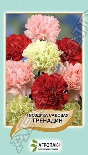 Гвоздика садова Гренадин, суміш - 0,2 грами Гвоздика садова Гренадин, суміш - 0,2 грами