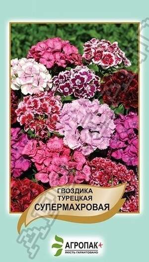 Гвоздика турецька Супермахрова - 0,5 г Гвоздика турецька Супермахрова - 0,5 г