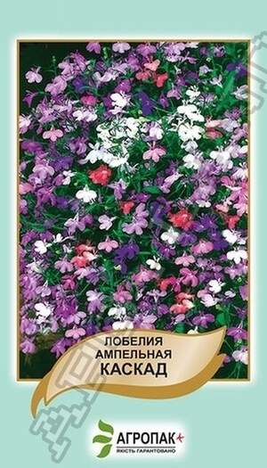 Лобелія ампельна Каскад, суміш – 0,05 грам Лобелія ампельна Каскад, суміш – 0,05 грам