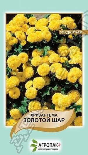 Хризантема бордюрна Золота куля - 0,05 грам Хризантема бордюрна Золота куля - 0,05 грам