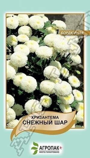Хризантема бордюрна Снігова куля - 0,05 грам Хризантема бордюрна Снігова куля - 0,05 грам