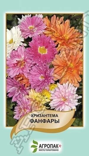 Хризантема індійська Фанфари, суміш – 0,1 грам Хризантема індійська Фанфари, суміш – 0,1 грам