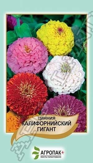 Цинія витончена Каліфорнійський гігант - 0,5 грам Цинія витончена Каліфорнійський гігант - 0,5 грам