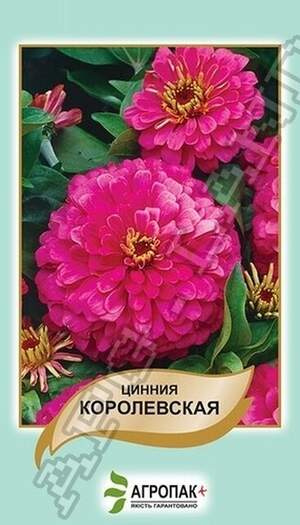 Ціннія витончена Королівська - 0,5 грам Ціннія витончена Королівська - 0,5 грам