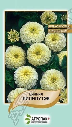 Цінія витончена Ліліпутек, біла - 0,2 грами Цінія витончена Ліліпутек, біла - 0,2 грами