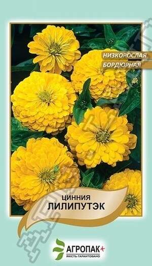 Циннія витончена Циннія Ліліпутек, жовта - 0,2 грама Циннія витончена Циннія Ліліпутек, жовта - 0,2 грама