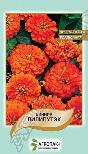 Ціннія витончена Ліліпутек, помаранчева - 0,2 грама Ціннія витончена Ліліпутек, помаранчева - 0,2 грама