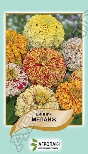 Ціннія витончена Меланж, суміш - 0,5 грам Ціннія витончена Меланж, суміш - 0,5 грам
