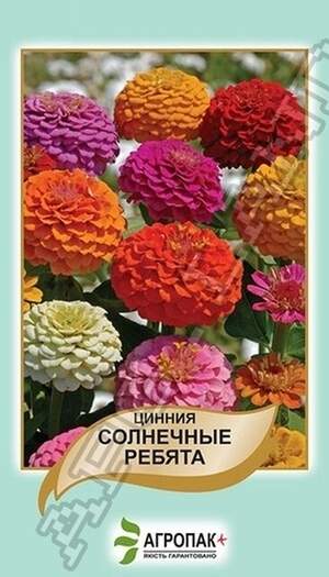 Ціннія витончена Сонячні хлопці, суміш - 0,5 грам Ціннія витончена Сонячні хлопці, суміш - 0,5 грам