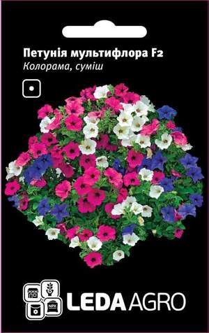 Петунія мультифлора Петунія мультифлора