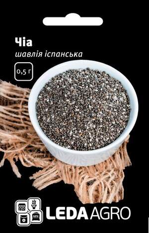 Шавлія іспанська Шавлія іспанська