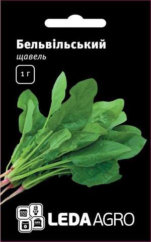 Щавель Щавель