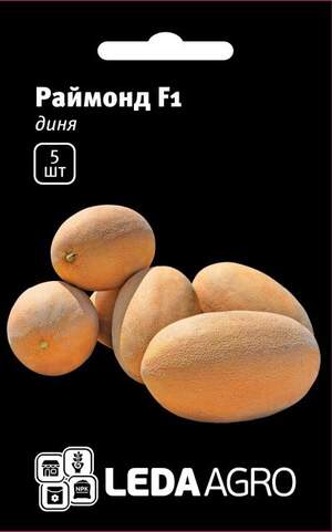 Диня Диня