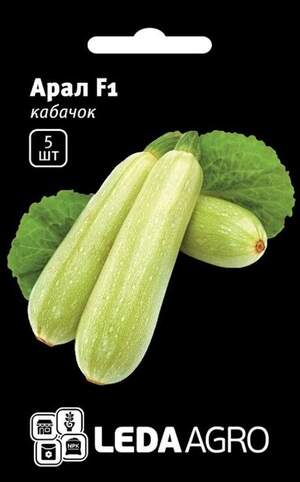 Кабачок Кабачок