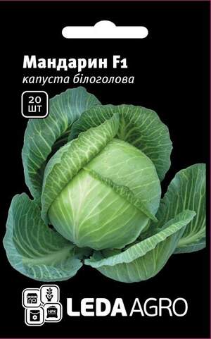 Капуста білокачанна, Капуста білокачанна,