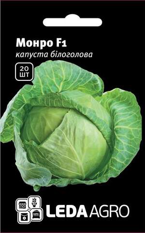 Капуста білокачанна, Капуста білокачанна,