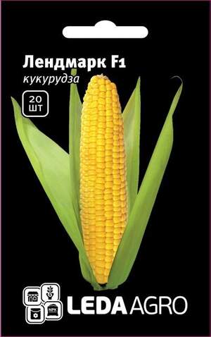 Кукурудза Кукурудза