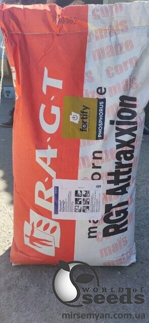 Кукурудза RGT Атраксіон/Attraxxion (ФАО 270) мішок 1 посівна од. Кукурудза RGT Атраксіон/Attraxxion (ФАО 270) мішок 1 посівна од.
