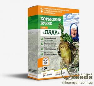 Насіння буряка кормового Насіння буряка кормового