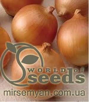 Цибуля МУЗА F1 (MUSA F1) 250 000 с. Cora Seeds Цибуля МУЗА F1 (MUSA F1) 250 000 с. Cora Seeds