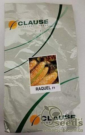 Кукурудза Ракель F1 5000 нас. (Clause) Кукурудза Ракель F1 5000 нас. (Clause)