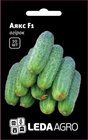 Огірок Огірок