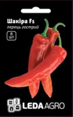 Перець Перець
