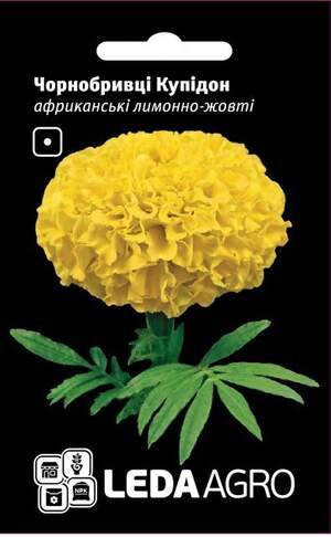 Чорнобривці Купідон лимонно-жовті 0.2 г L (Hem Zaden BV Netherlands) Чорнобривці Купідон лимонно-жовті 0.2 г L (Hem Zaden BV Netherlands)