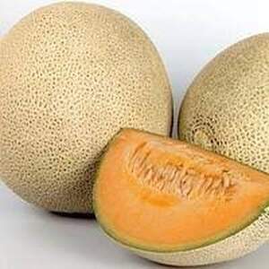 Диня Делано F1 - 5 насіння Л (Nunhems)