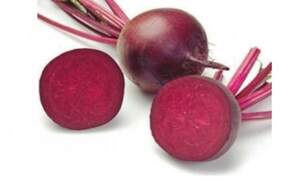 Буряк столовий Акела F1 100 000 нас. (Rijk Zwaan)