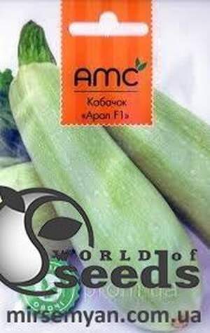 Кабачок Кабачок