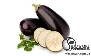 Баклажан Модар F1, 1 000 нас. (Lark Seesd USA)