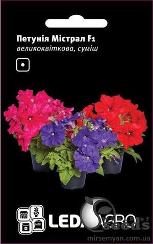Петунія Містрал F1, крупноквіткова суміш, 10 семена Л