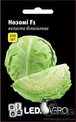 Капуста білокачанна, Капуста білокачанна,