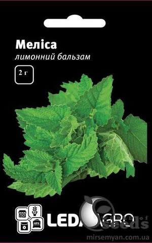 Меліса Меліса